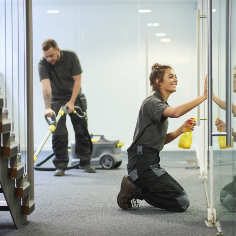 Kdo by mohl ocenit profesionální mytí oken a prodejních výloh